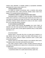 Diplomdarbs 'Uzņēmuma gada pārskata sagatavošana Latvijā', 24.