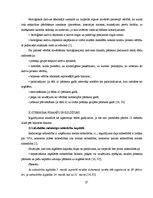 Diplomdarbs 'Uzņēmuma gada pārskata sagatavošana Latvijā', 27.