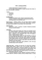 Konspekts 'Ievads filosofijā', 7.