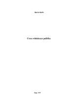 Referāts 'Cenu veidošanas politika', 1.