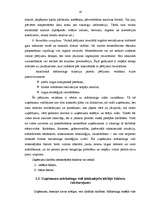 Diplomdarbs 'SIA "Trigers" mārketinga vides analīze', 14.