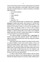 Diplomdarbs 'SIA "Trigers" mārketinga vides analīze', 15.