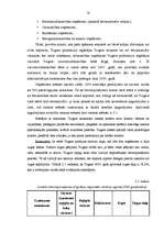 Diplomdarbs 'SIA "Trigers" mārketinga vides analīze', 53.