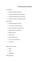 Referāts 'Krievijas policija', 4.