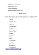 Referāts 'Krievijas policija', 5.