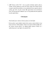 Referāts 'Krievijas policija', 8.