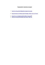 Referāts 'Krievijas policija', 9.