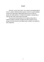 Referāts 'Interneta valoda un tās rašanās', 3.