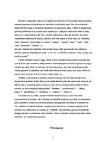 Referāts 'Interneta valoda un tās rašanās', 5.