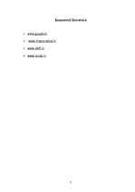 Referāts 'Interneta valoda un tās rašanās', 7.