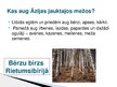 Prezentācija 'Āzijas jauktie meži', 4.