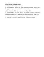 Referāts 'Inventarizācija', 11.