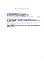 Referāts 'Hiperaktivitāte', 19.