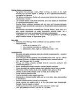 Referāts 'Kurzemes un Zemgales hercoga Jēkaba laikmets un merkantilisms', 2.