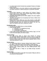 Referāts 'Kurzemes un Zemgales hercoga Jēkaba laikmets un merkantilisms', 4.