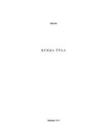 Referāts 'Kuņģa čūla', 1.