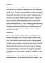 Referāts 'Globālais tirgus un tā vides faktori, kas ietekmē globālos uzņēmumus', 4.