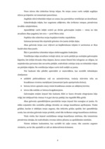 Referāts 'Būvdarbu tehnoloģija un darba drošība. Biroju ēkas tehnoloģiskais projekts', 4.