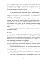 Referāts 'Būvdarbu tehnoloģija un darba drošība. Biroju ēkas tehnoloģiskais projekts', 11.