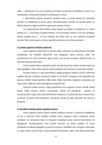 Referāts 'Būvdarbu tehnoloģija un darba drošība. Biroju ēkas tehnoloģiskais projekts', 23.