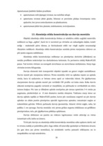 Referāts 'Būvdarbu tehnoloģija un darba drošība. Biroju ēkas tehnoloģiskais projekts', 30.