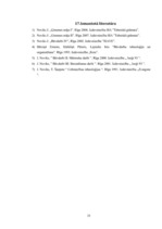 Referāts 'Būvdarbu tehnoloģija un darba drošība. Biroju ēkas tehnoloģiskais projekts', 33.