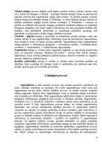 Referāts 'Atmiņa', 4.