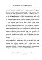Referāts 'Ģimene kā akmens personības formēšanā', 13.