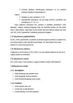 Biznesa plāns 'Biznesa plāns restorānam', 5.