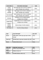 Biznesa plāns 'Biznesa plāns restorānam', 8.