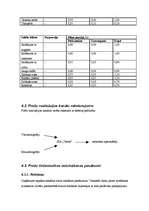 Biznesa plāns 'Biznesa plāns restorānam', 16.