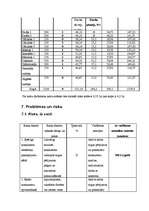 Biznesa plāns 'Biznesa plāns restorānam', 20.