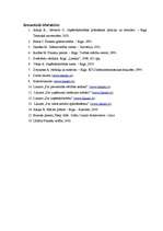 Biznesa plāns 'Biznesa plāns restorānam', 30.