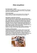 Konspekts 'Matu mazgāšana un masāža', 2.