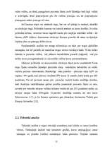 Referāts 'Valūtas riska jēdziens', 12.