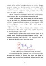 Referāts 'Valūtas riska jēdziens', 13.