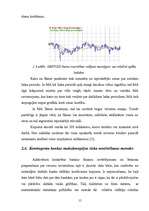 Referāts 'Valūtas riska jēdziens', 15.