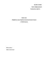 Biznesa plāns 'Разработка и план открытия комплекса активного отдыха ', 1.