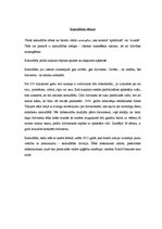 Referāts 'Pētījums par kamuflāžu', 2.