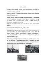 Referāts 'Pētījums par kamuflāžu', 4.