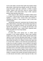 Referāts 'Līzinga vispārējie jēdzieni. Finanšu līzinga starptautiskā regulēšana', 8.