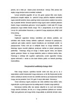 Referāts 'Līzinga vispārējie jēdzieni. Finanšu līzinga starptautiskā regulēšana', 9.