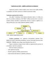 Biznesa plāns 'Transporta uzņēmums SIA „Bebri”', 4.