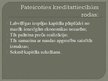 Prezentācija 'Kredītu veidi un riski', 3.