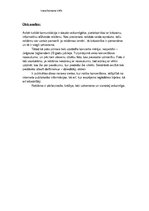 Konspekts 'Koncertšovs "Ceļojums kopā ar Jelgavas bigbendu". Analīze', 6.