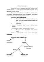 Referāts 'Temperamenta tipu atšķirība eksakto un humanitāro klašu skolēniem', 8.