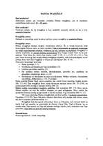 Konspekts 'Konspekts par Jaunās Derības grāmatām', 3.