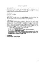 Konspekts 'Konspekts par Jaunās Derības grāmatām', 4.