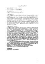 Konspekts 'Konspekts par Jaunās Derības grāmatām', 6.