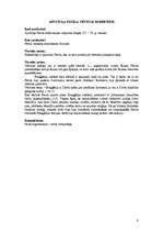 Konspekts 'Konspekts par Jaunās Derības grāmatām', 8.